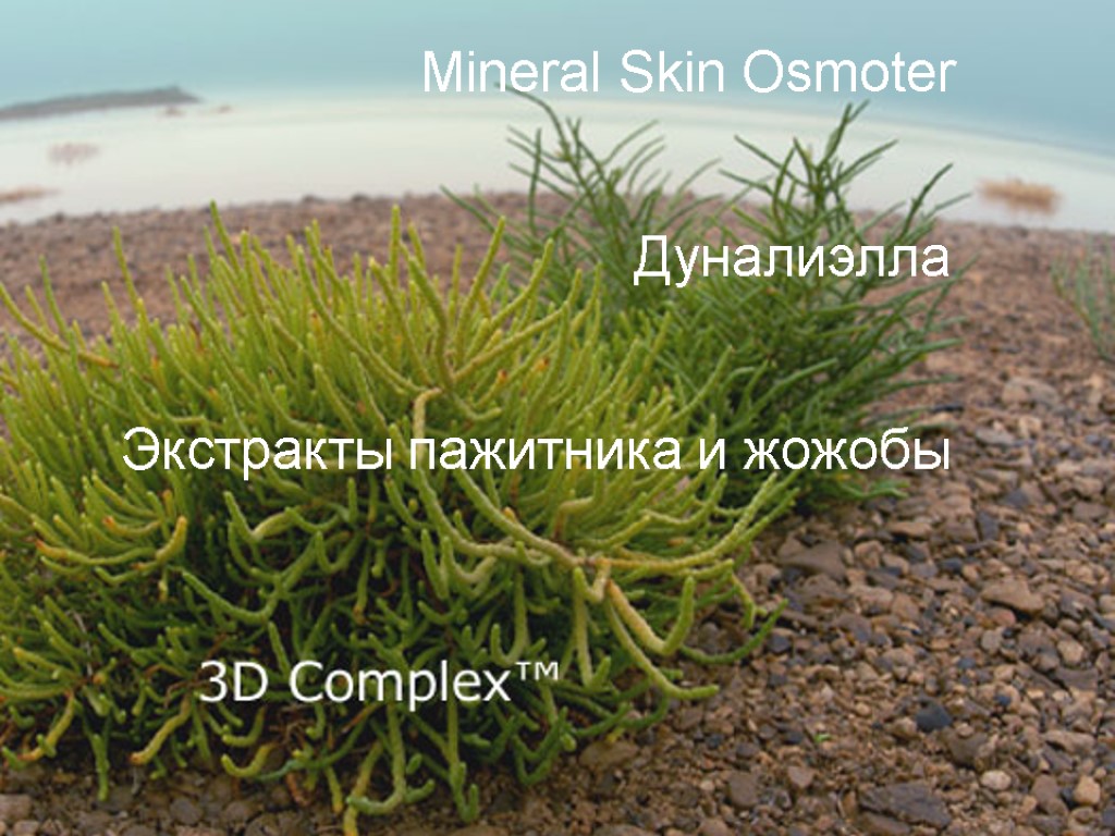 Mineral Skin Osmoter Дуналиэлла Экстракты пажитника и жожобы